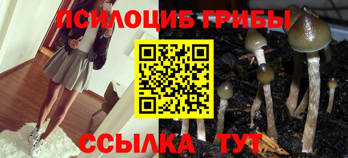 Галлюциногенные грибы прущие грибы  наркота  Муравленко  Вход с VPN 