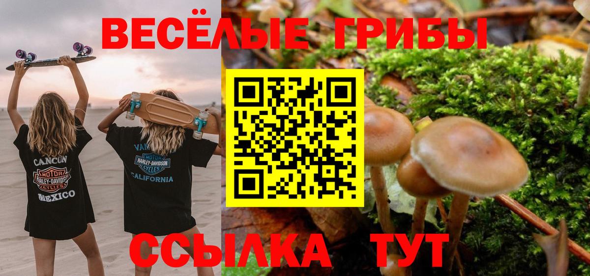 Псилоцибиновые грибы мицелий Муравленко